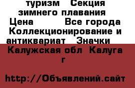 туризм : Секция зимнего плавания › Цена ­ 190 - Все города Коллекционирование и антиквариат » Значки   . Калужская обл.,Калуга г.